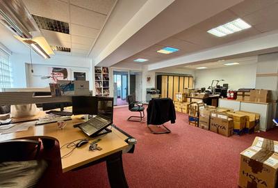 Vila  de inchiriat 11 camere  D+P+2 Timpuri noi 12 locuri de parcare 500 mp util - 19