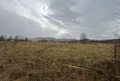 Teren Construcții extravilan de 3171 mp, în Vama Buzăului - 1