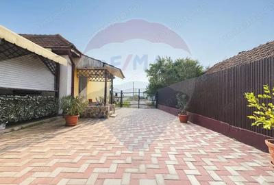 Casă cu Teren 1358 Mp în Bazoș - 1