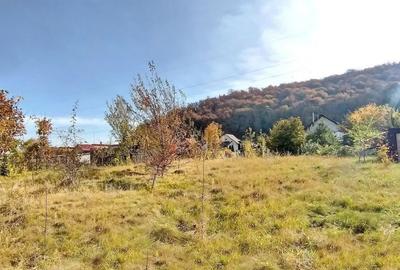 Teren de 660 mp, în Bunloc