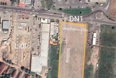 Teren Construcții intravilan de 9000 mp, în Vest - 1