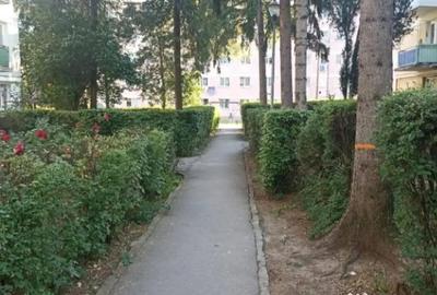 Apartament cu 3 camere semidecomandat în Simeria - 12