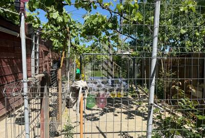 Casă individuală cu 7 camere cu Canalizare în Buziașului - 17