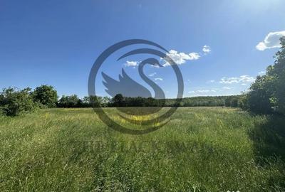 Teren de 11000 mp, în Ghirdoveni