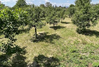 Spațiu comercial, în Letea - 3