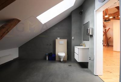 Vila Interbelica de lux pentru birouri in Cluj-Napoca - 12
