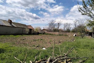 Casa de vanzare Grindu Ialomi?a - 5