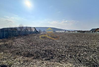 Teren Construcții intravilan de 3600 mp, în Hemeiuș - 7