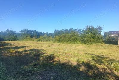 Teren de 2800 mp, în Jdioara - 2
