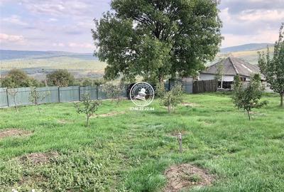 Teren de 6200 mp, în Mogoșești - 5