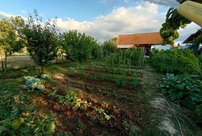 Casă cu Teren 1060 Mp în Beriu - 4