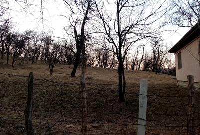Teren de 1600 mp, în Lunca (Moroeni) - 2