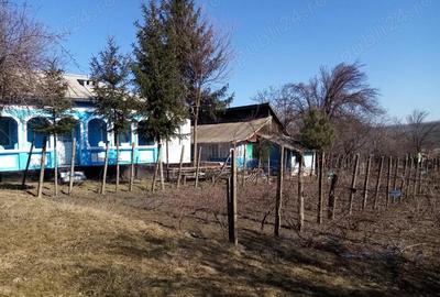 Casă cu Teren 2700 Mp în Iazu Nou - 10