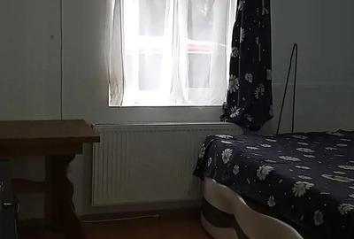 Apartament cu o Camera in Dragasani - 4
