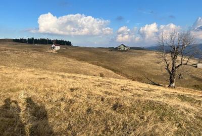 Teren de vanzare ideal pentru cabana Zona Valari, Paltini?(6131 m) - 5