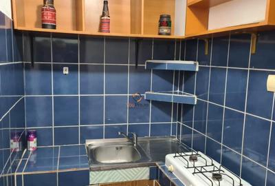 Garsoniera Spatioasa zona Blascovici - 18