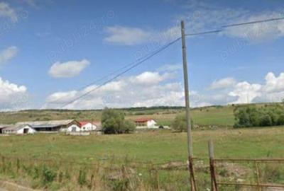 Teren de 800 mp, în Central - 4