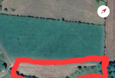 Spre vanzare case si terenuri la Sovata si la esire din Praid catre bucin - 7