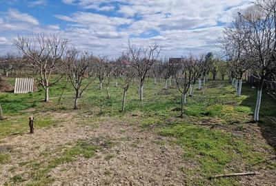 Casă cu 2 camere cu Teren 1374 Mp în Iosia - 9