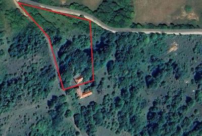 Casă cu 2 camere cu Teren 8000 Mp în Vadu Crișului - 1