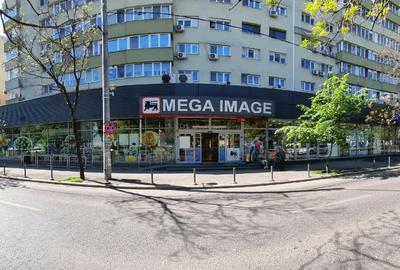 Spatiu comercial de inchiriat Sos. Nicolae Titulescu nr. 95-103 - 2