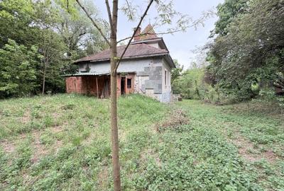 Casă individuală cu 6 camere cu Teren 10000 Mp în Caransebeș - 10