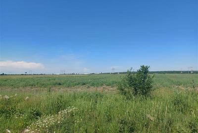 Teren Construcții intravilan de 12000 mp, în Ciorogârla - 1