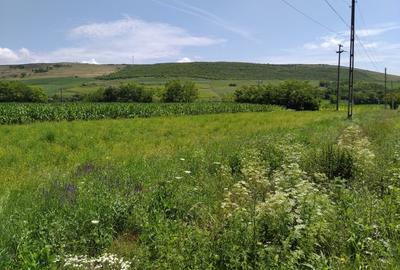 Teren Construcții intravilan de 6600 mp, în Mărășești - 2