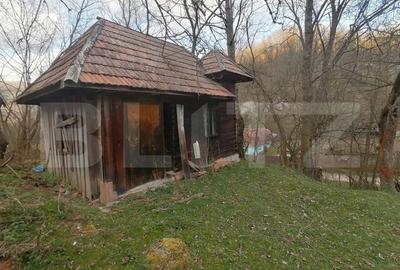 Teren intravilan 2900 mp in Zona Presaca Ampoiului - 4