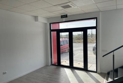 Spatiu depozitare si productie Chitila - Rudeni - 3