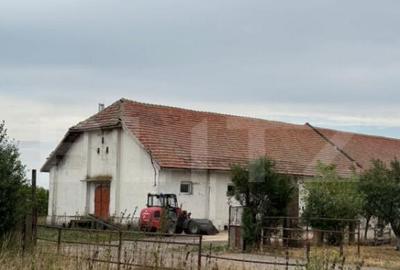 Ferma de Vanzare in judetul Timis, la nord est de Timisoara, - 4
