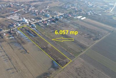 Teren Construcții intravilan de 6057 mp, în Rădulești - 3