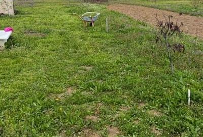 1.528 mp deschidere 24 m toate utilitățile Măgurele, Strada Trifoiului - 4