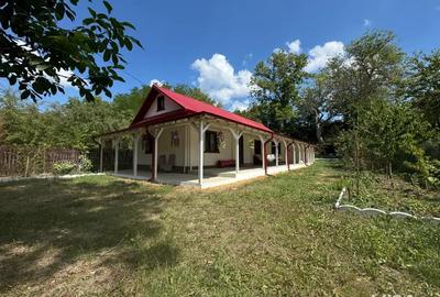 Casa de vacanta - 10