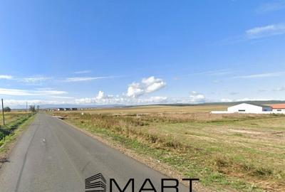 Teren 670mp casa/duplex cu proiect si autorizatie Sura Mica - 1