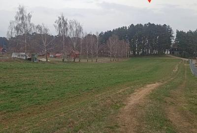 Spațiu comercial, în Reci - 2