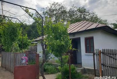 Casă cu 3 camere cu Teren 5000 Mp în Mozăceni - 9