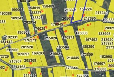 Teren 6.583 mp cu dubla deschidere si utilitati, Calea Adevarului - Oradea - 9