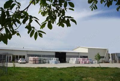 2 Hale cu birouri, vestiare, sala de mese si grupuri sanitare, teren 8868mp, E60, Tileagd BH, - 5