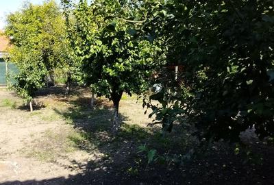 Casă de vânzare zona Turda Noua, comision 0% !!! - 40