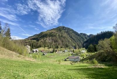 Teren panoramic insorit, utilitati, panta mica si padure, turism sau vacanta - 3