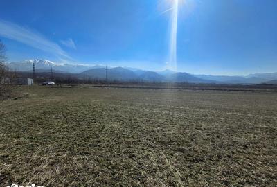 Teren de 2800 mp, în Turnu Roșu - 17