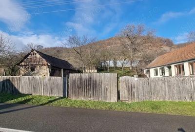 Casă cu 2 camere cu Teren 762 Mp în Blandiana - 3