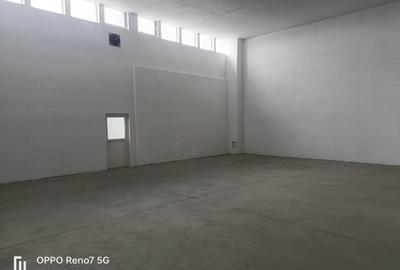 Spatiu industrial/comercial de inchiriat - 8