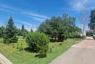 Proprietar închiriez vila lux cu deschidere la Lacul Balotesti - 9
