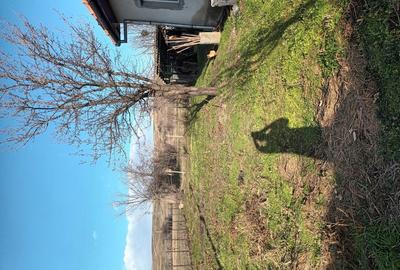 Casă cu 3 camere în Dâmbovița - 4