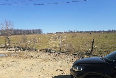 Teren de 2338 mp, în Central - 2