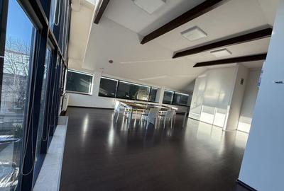 Proprietate unica in Satu Mare spa?ii de birouri/c... - 2