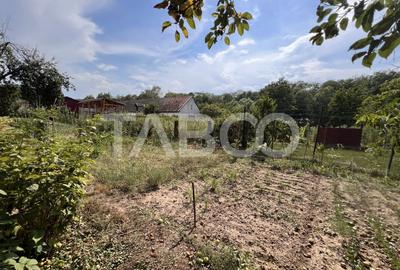 Casa de vanzare 4 camere 2 bai 1162 mp de curte si gradina in Toderita - 17