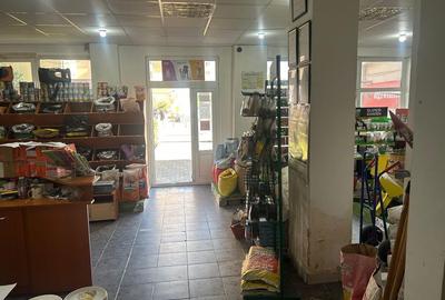 Spațiu comercial, de 105 mp, în Mioriței - 4